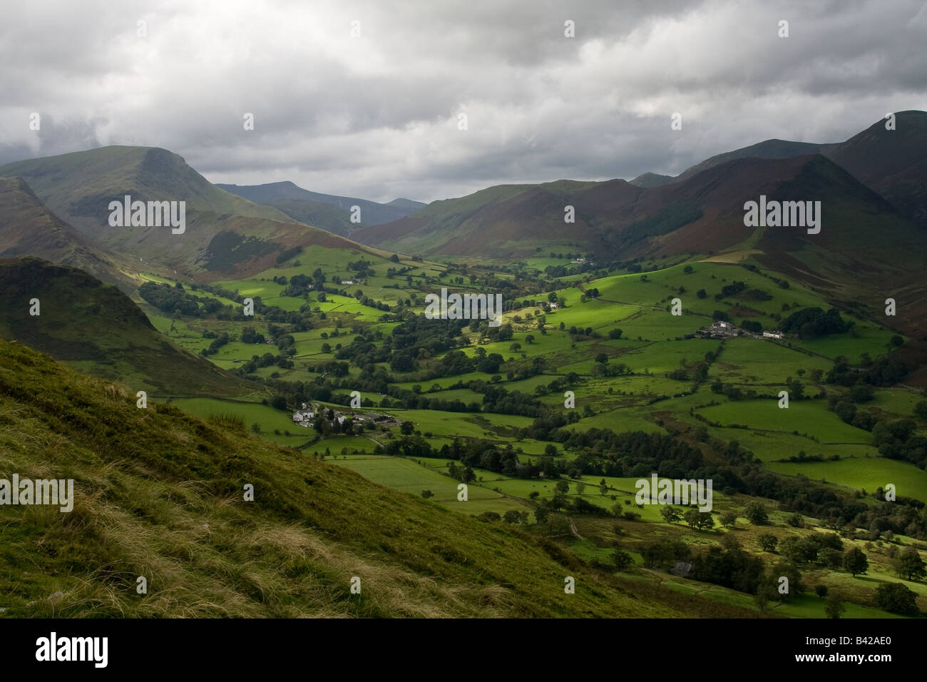 Newlands Valley come visto da vicino il vertice del gatto di campane, Near Keswick, Parco Nazionale del Distretto dei Laghi, Cumbria Foto Stock
