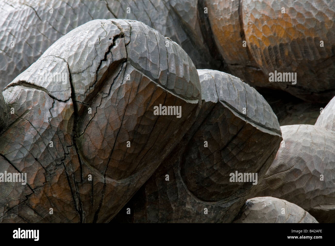 Close up di unghia e dito della mano a tazza la scultura in legno a Brandelhow, Derwent Water, Parco Nazionale del Distretto dei Laghi, Cumb Foto Stock