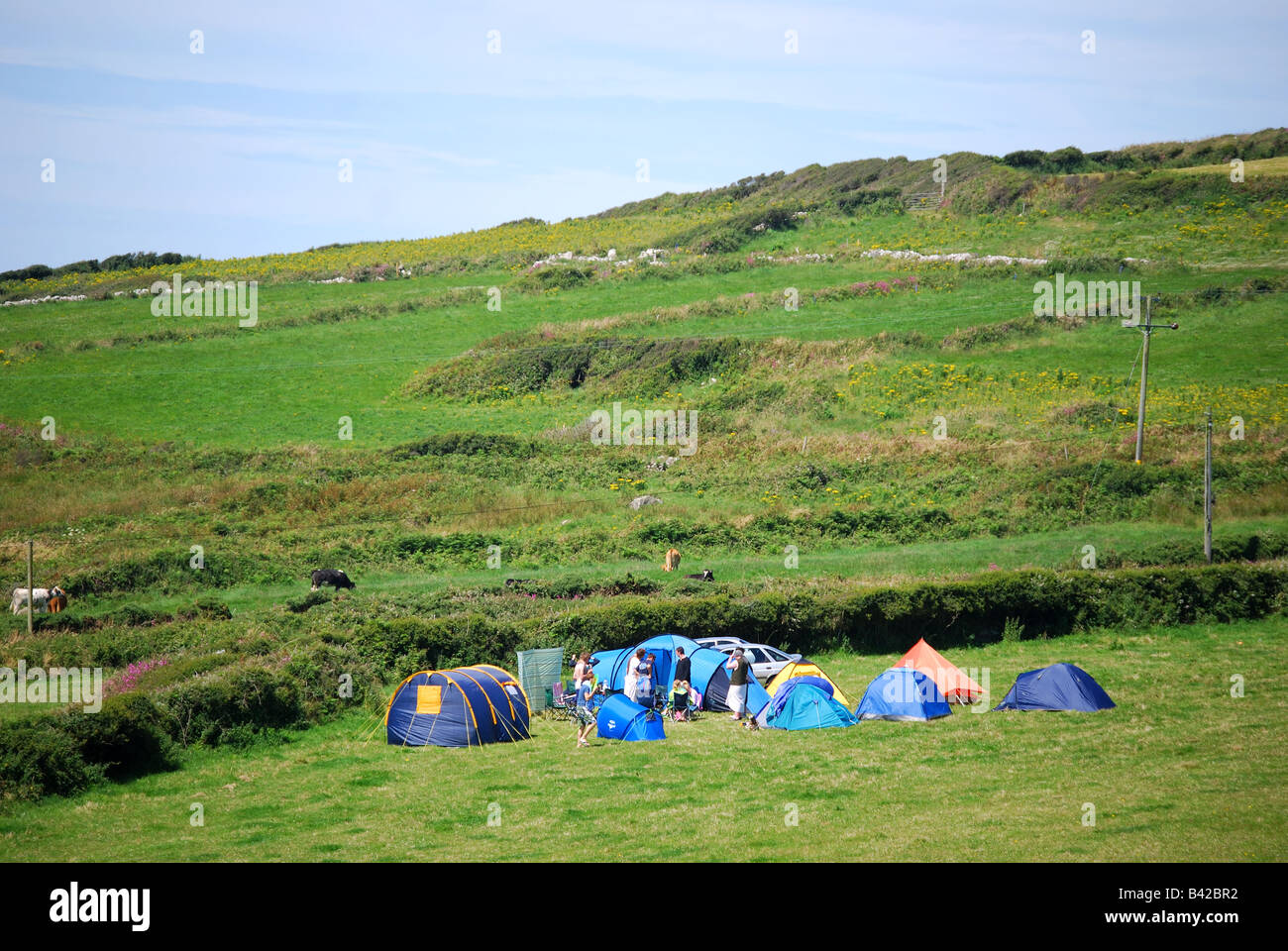 Piccolo campeggio, vicino a St.Davids, Il Pembrokeshire Coast National Park, Pembrokeshire, Wales, Regno Unito Foto Stock