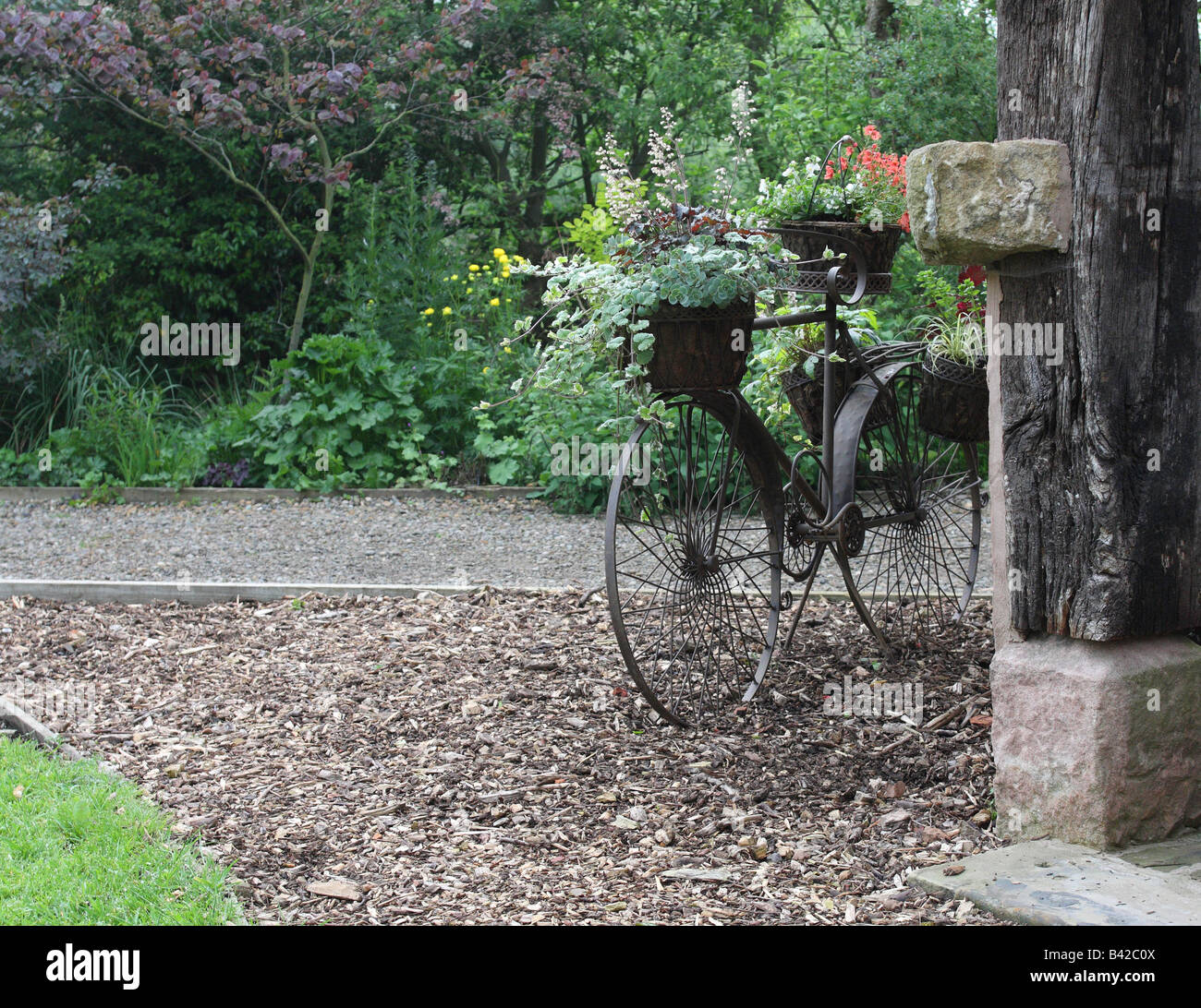 Bici di metallo utilizzato per il contenitore per piante in giardino. insolito contenitore per piante da dependance. Foto Stock