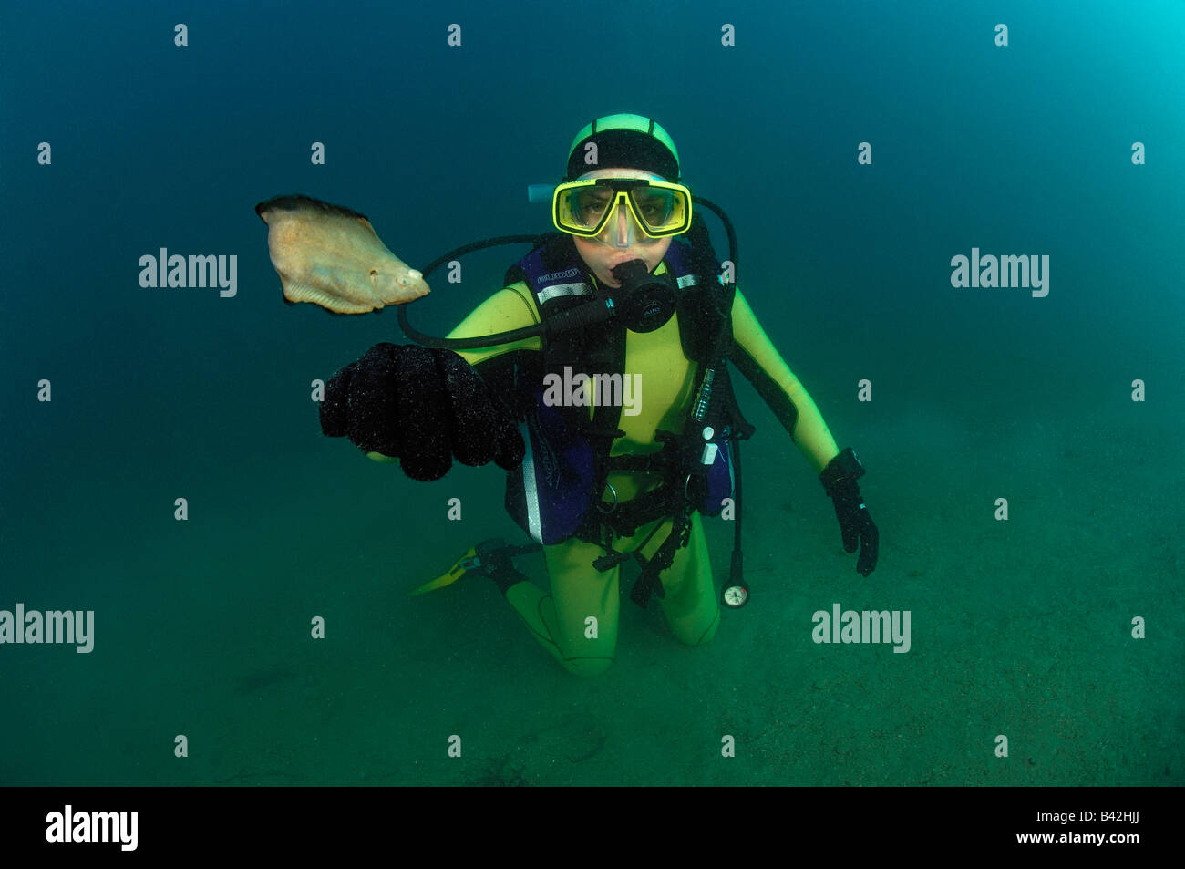 Subacqueo e suola Soleidi Pirano Mare Adriatico Slovenia Foto Stock
