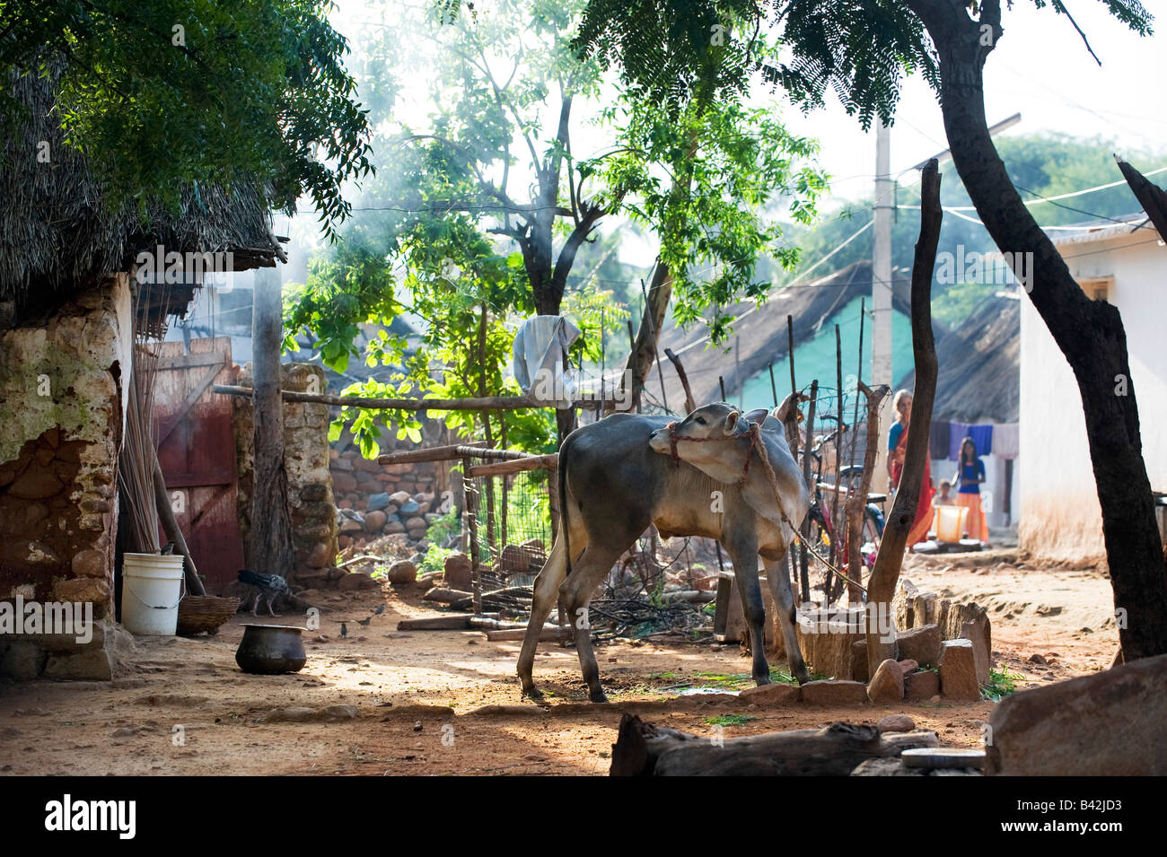 Sud rurale villaggio indiano scena. Andhra Pradesh Foto Stock