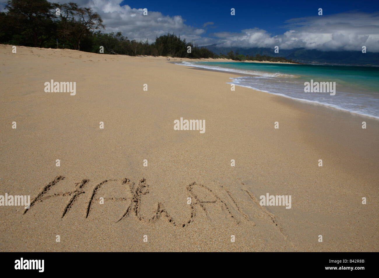 Sulla spiaggia Hawaii Maui Hawaii Pacifico USA Foto Stock