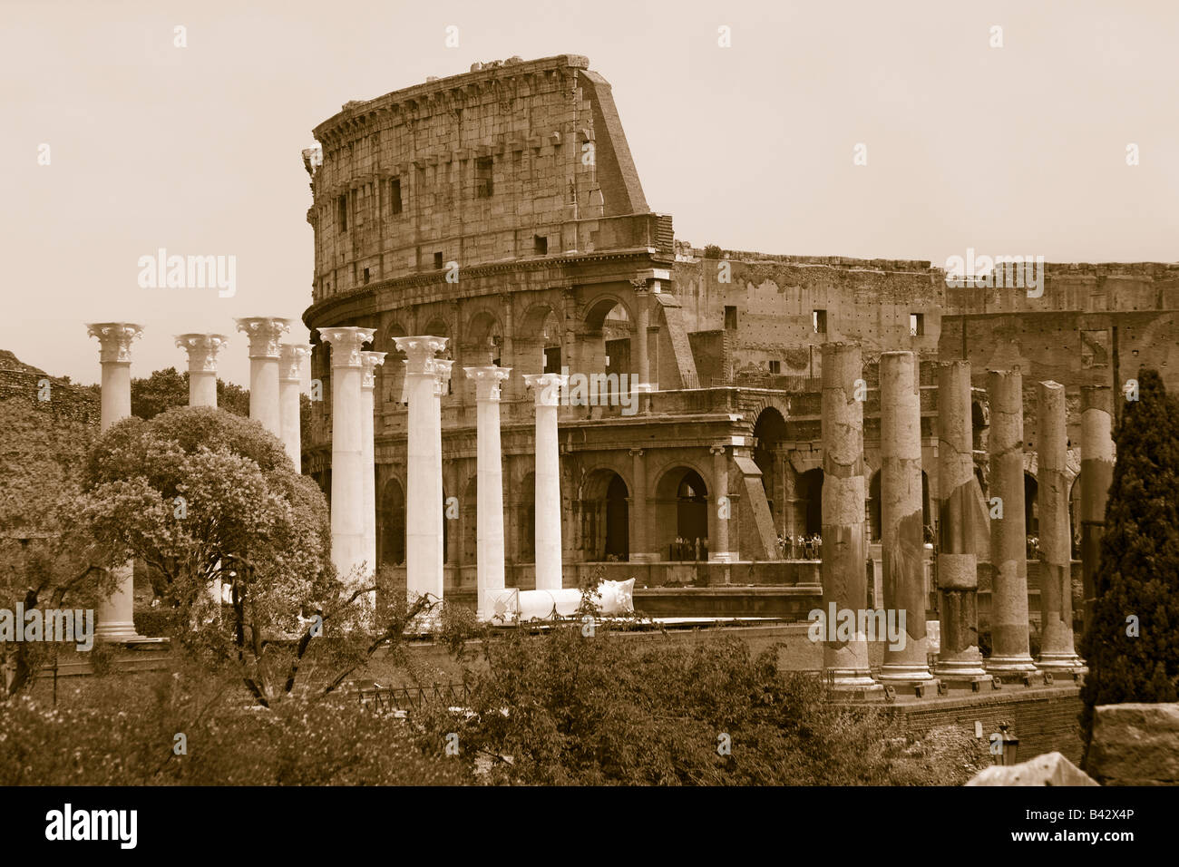 Immagine seppia di colonne del foro e il Colosseo o il Colosseo di Roma al Tramonto con striature luci auto, originariamente Flavio Foto Stock