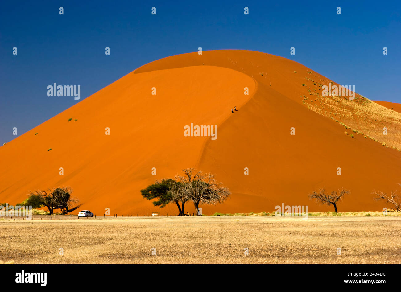 Dune 45 in Namib-Naukluft National Park, Namibia Foto Stock