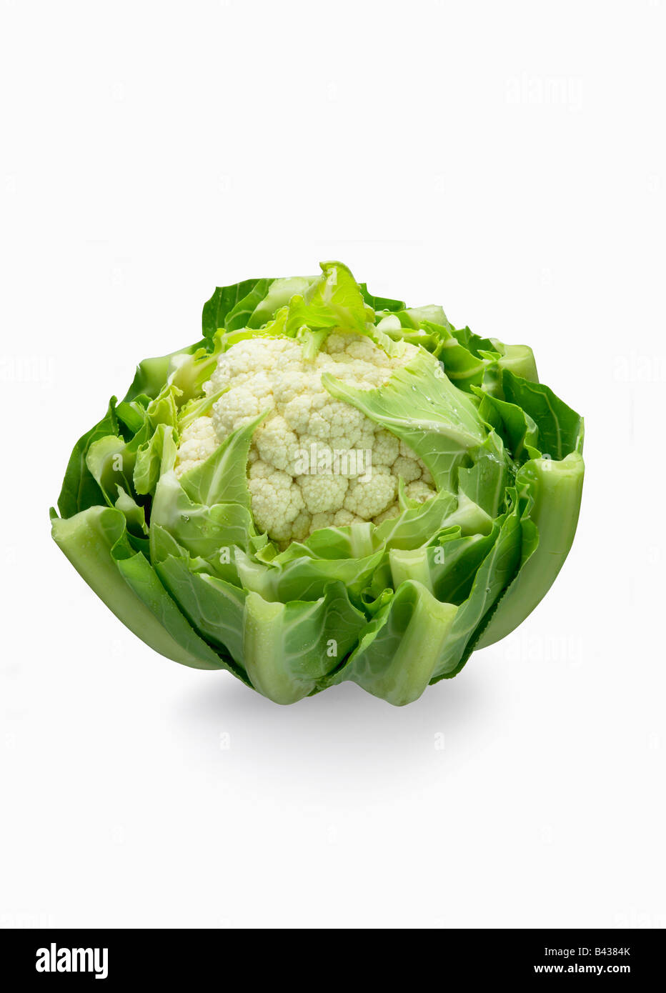 Cavolfiore con foglie tagliate Foto Stock