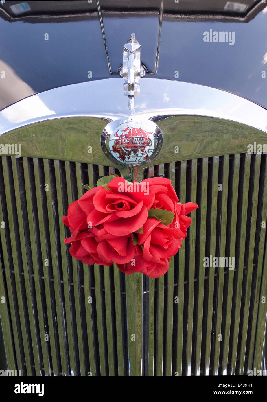 La griglia frontale di un'auto Triumph Mayflower del 1950 decorata con falsi fiori rossi per un matrimonio Foto Stock