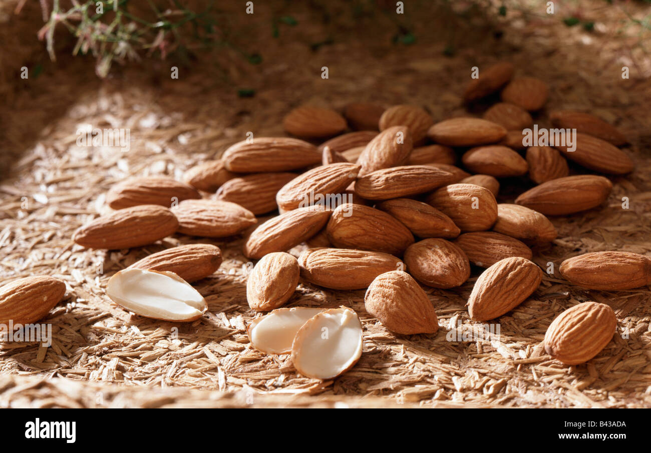 Mucchio delle mandorle Foto Stock