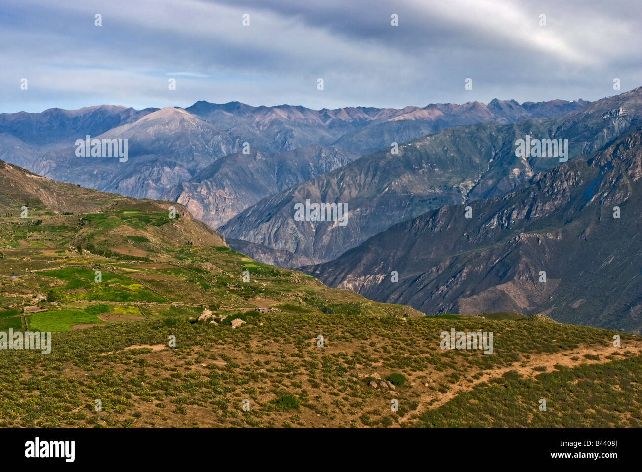 Il Canion del Colca/Valle, regione di Arequipa, Perù Foto Stock