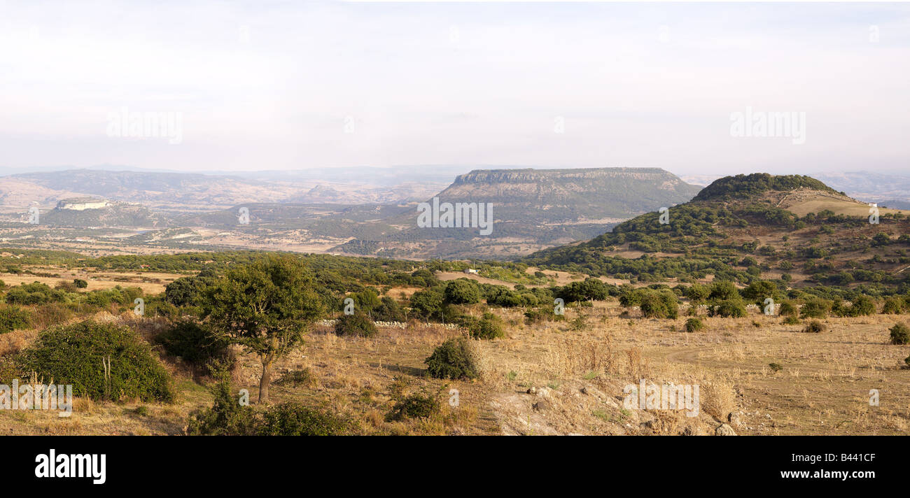 Mesa in Sardegna Foto Stock