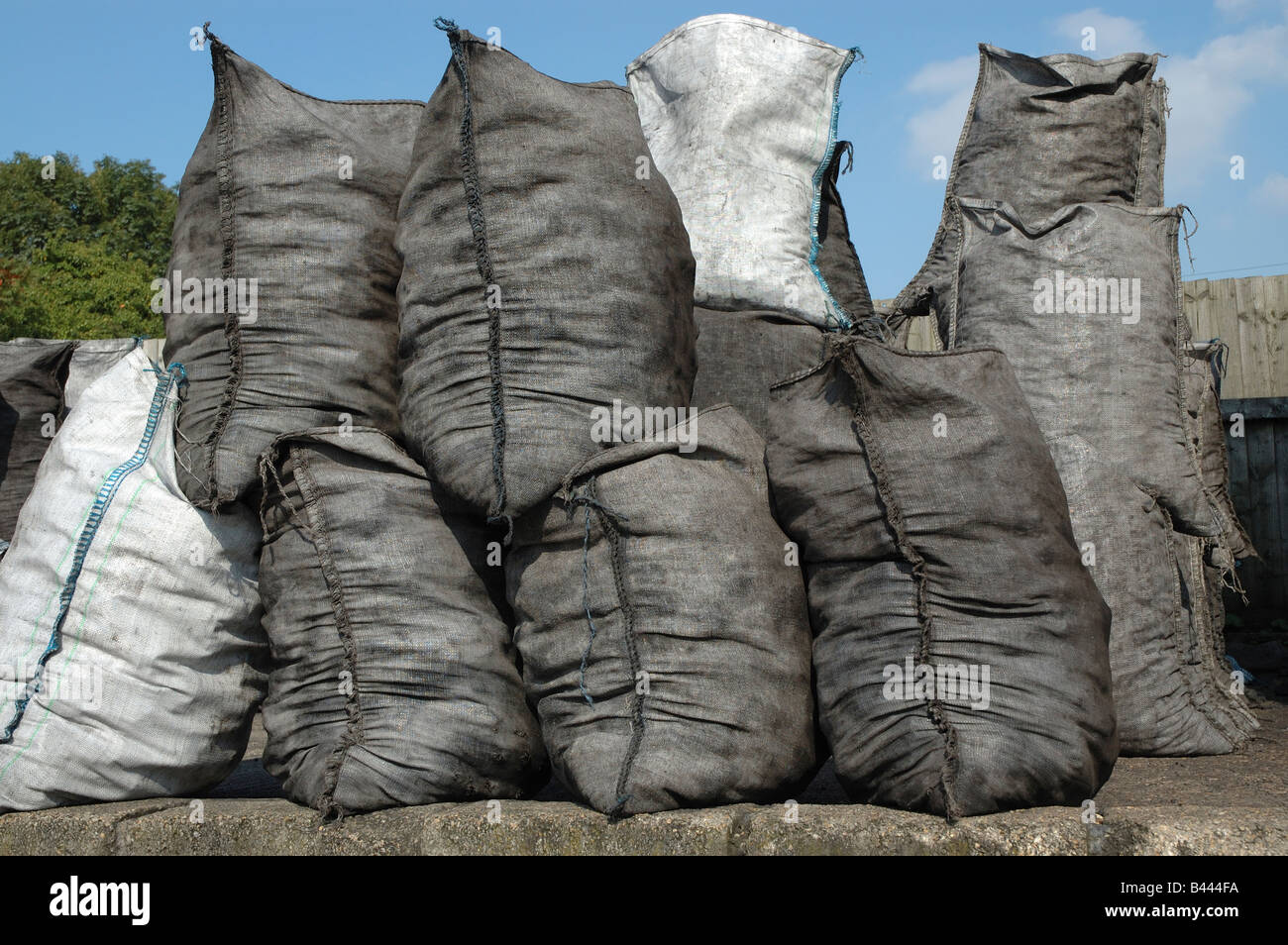 Sacchetti di carbone in attesa di consegna Foto Stock