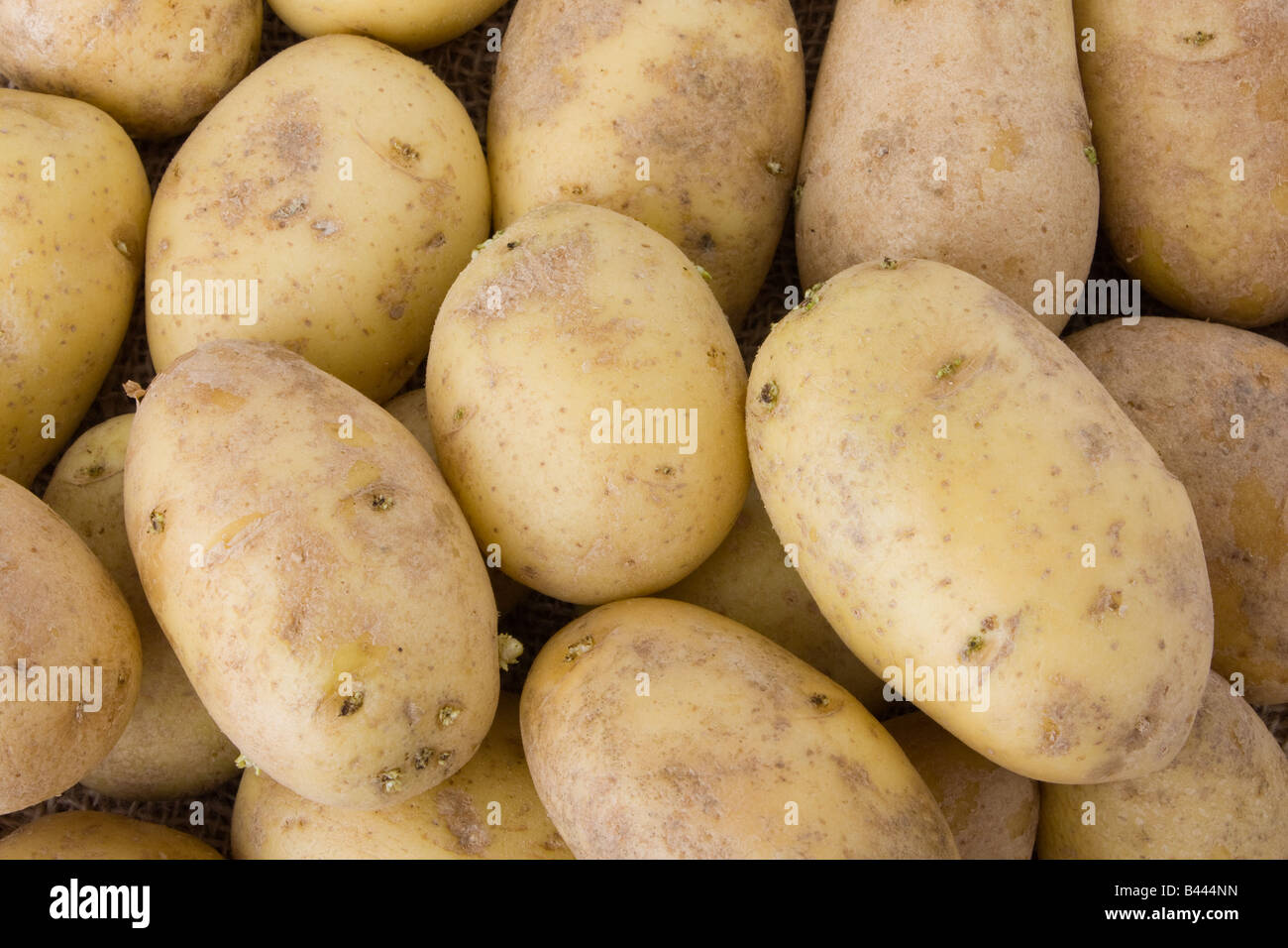 Sfondo costituito di un mucchio di patate Foto Stock