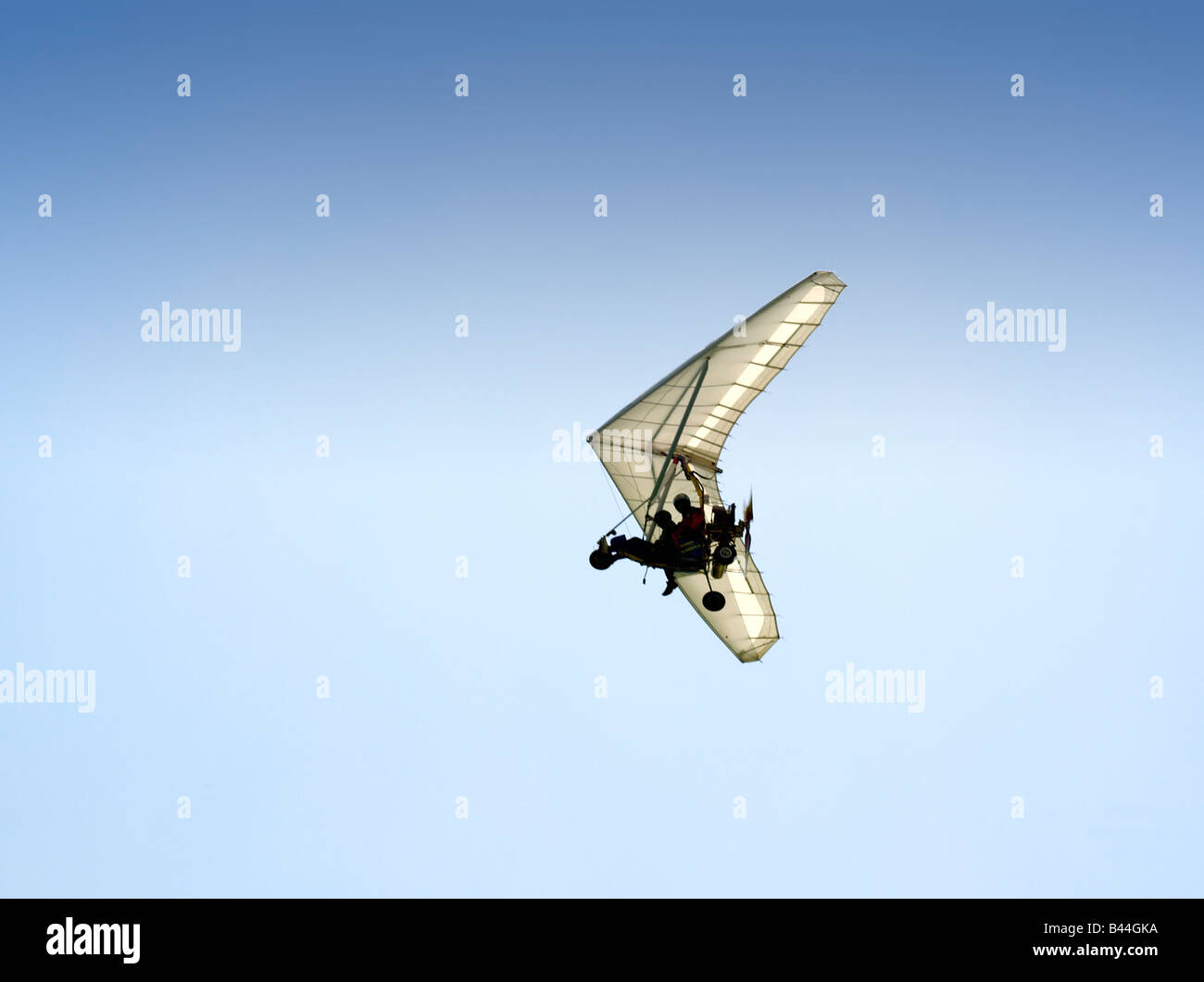 Motorizzato lemuri volanti Foto Stock