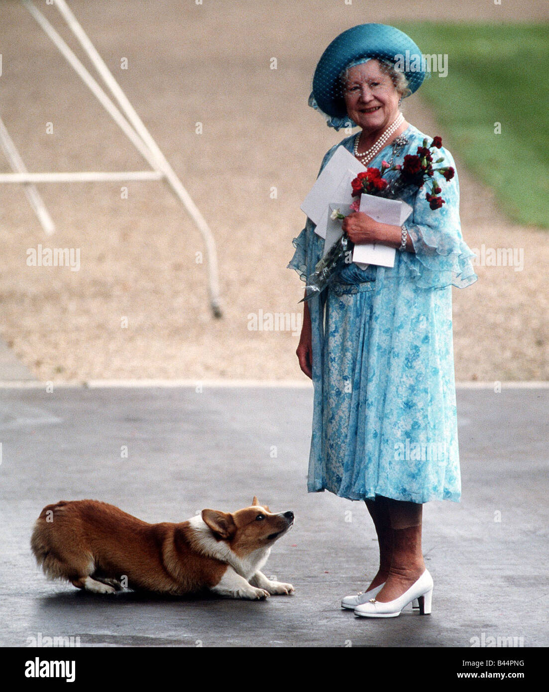 La regina madre con un corgi Ottobre 1996 Foto Stock