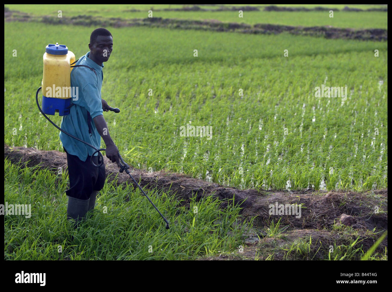Christian Aid s campagna per la giustizia commerciale Ronan Keating vede il disastroso impatto commercio sleale specificamente le importazioni da ovest Foto Stock