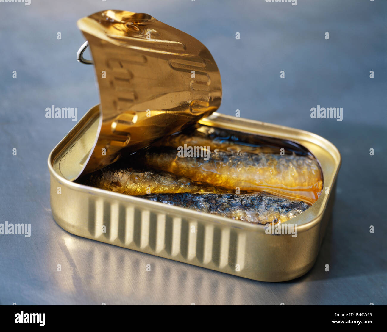 Scatola di sardine in olio Foto stock - Alamy