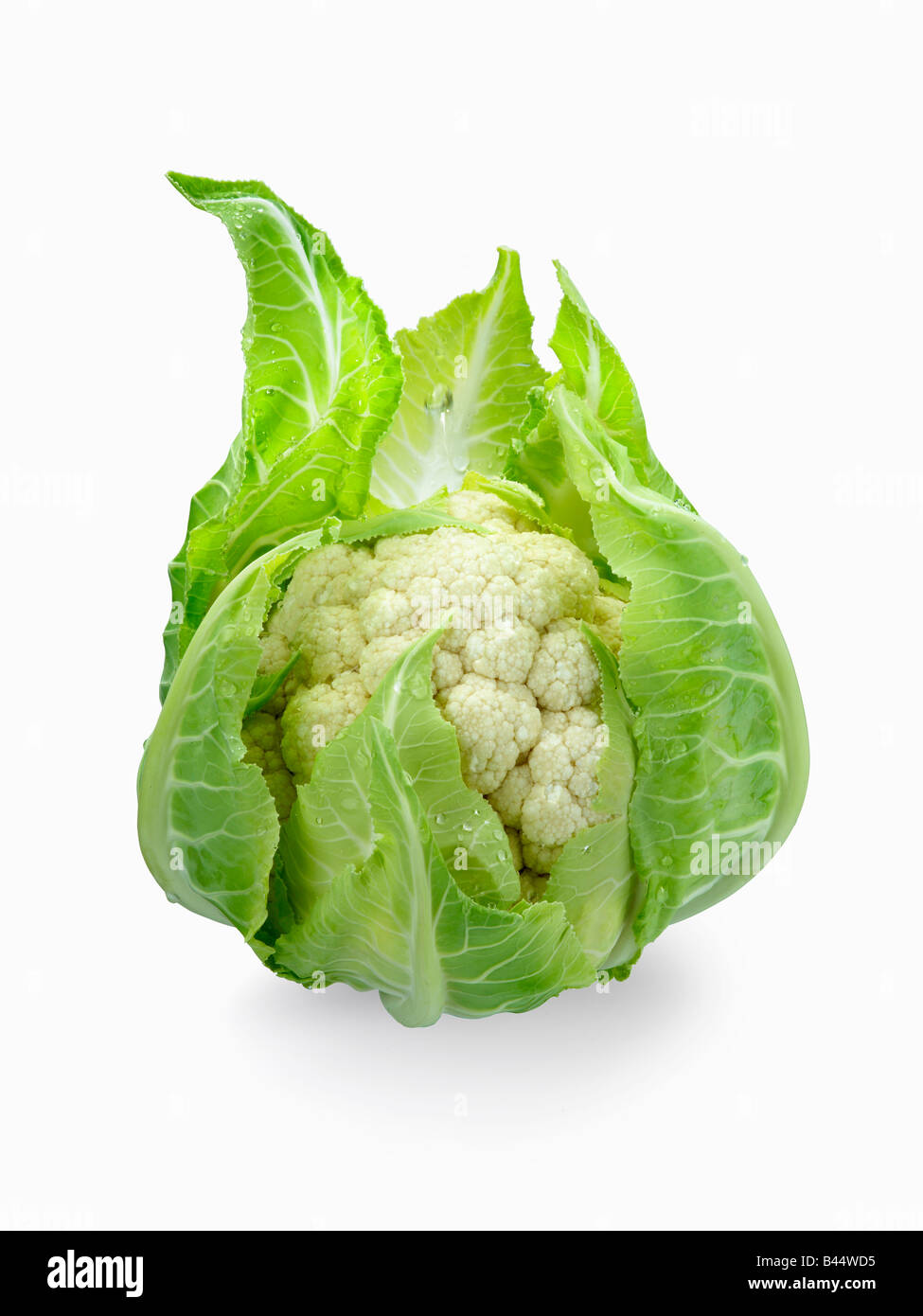 cavolfiore Foto Stock