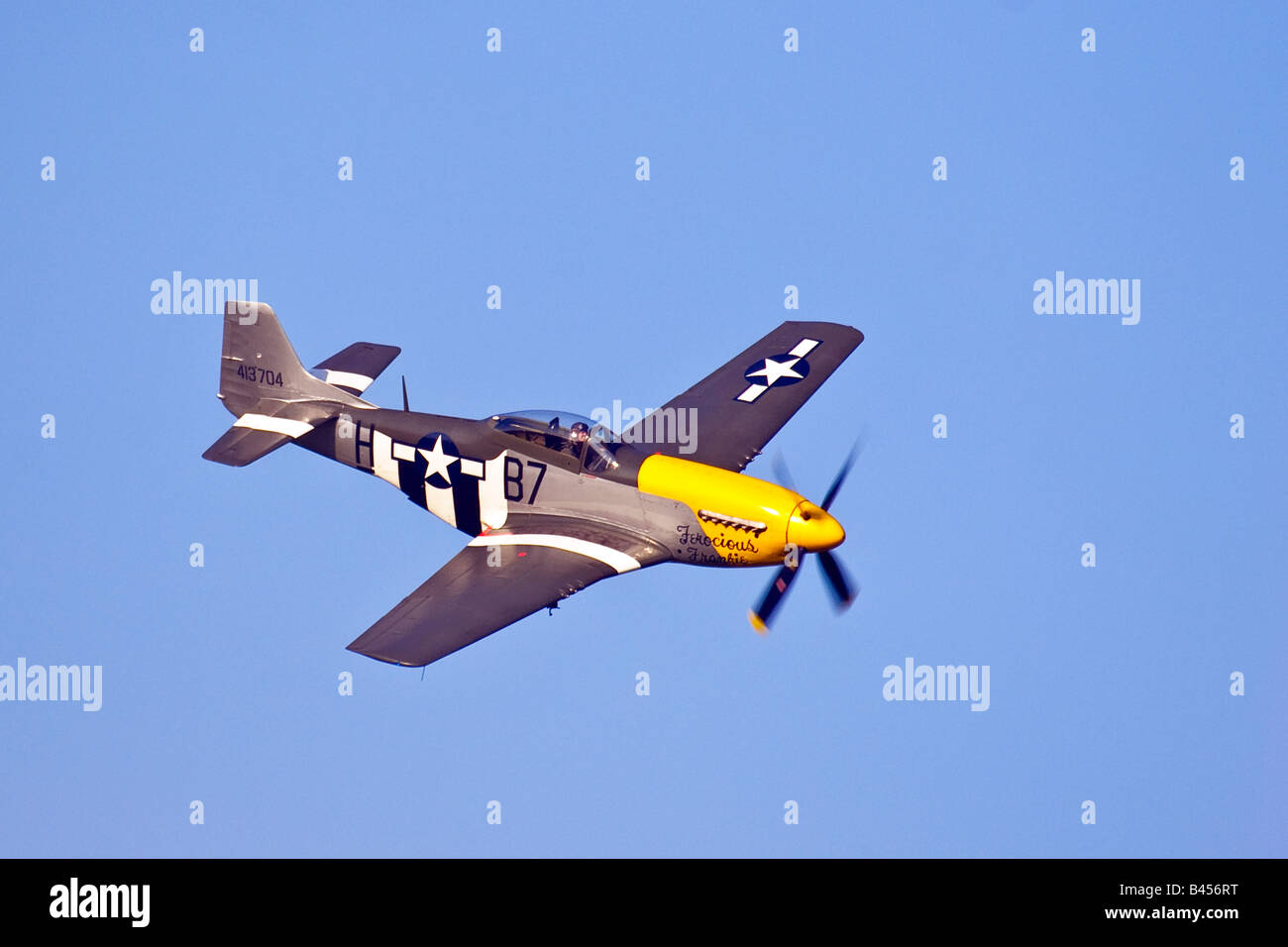 P51 Mustang 'feroce Frankie' display aeromobili al Goodwood Sussex Regno Unito Gran Bretagna Inghilterra Regno Unito 2008 Foto Stock