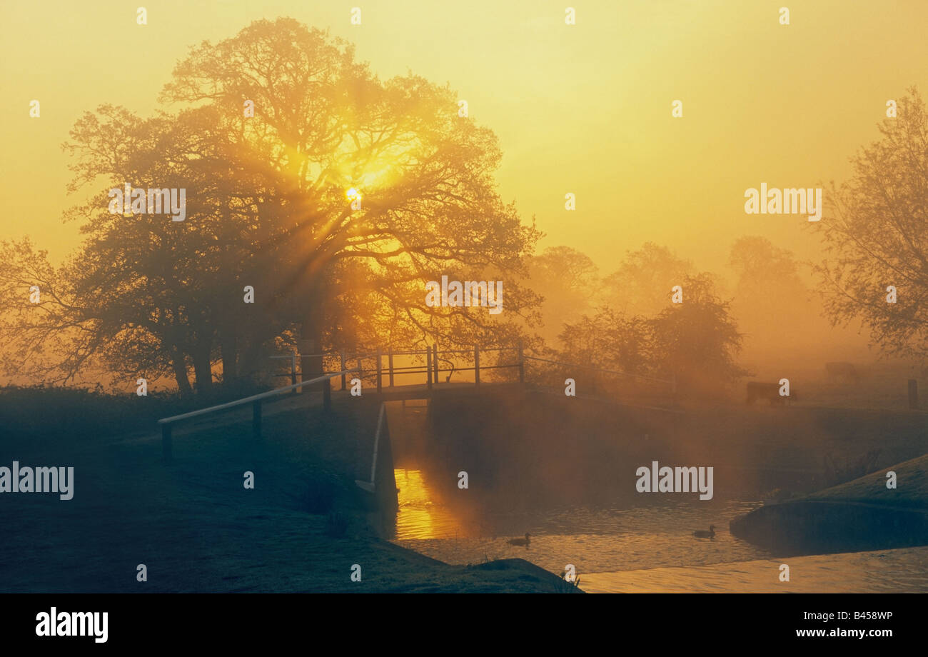Serratura Papercourt nella nebbia all'alba fiume Wey, SURREY REGNO UNITO Foto Stock