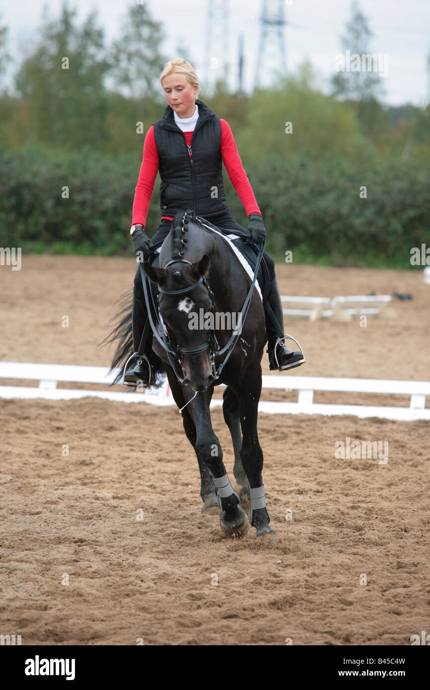 Stivali dressage deals