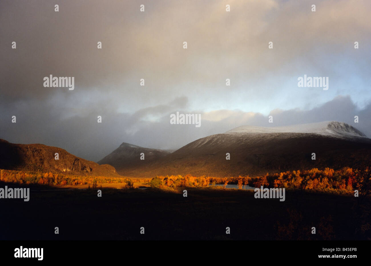 Le montagne in autunno i colori nella gamma Kebnekaise in Lappland svedese Foto Stock