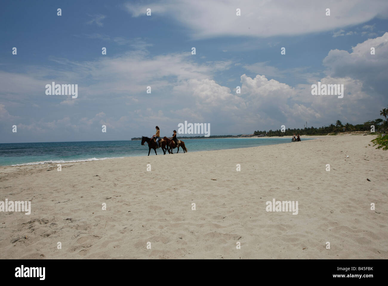Passeggiata a cavallo su una spiaggia in Repubblica Dominicana Foto Stock