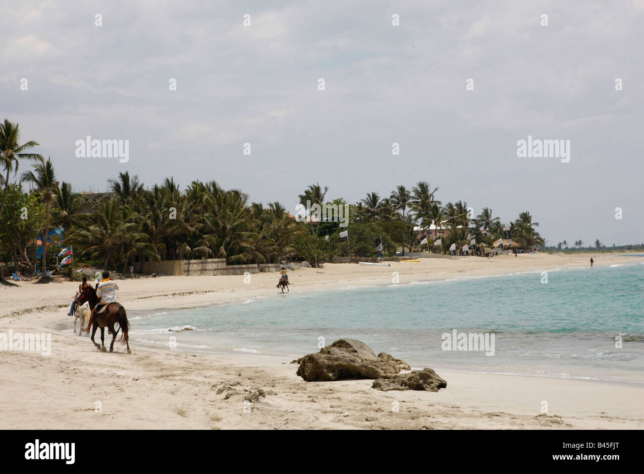 Passeggiata a cavallo su una spiaggia in Repubblica Dominicana Foto Stock