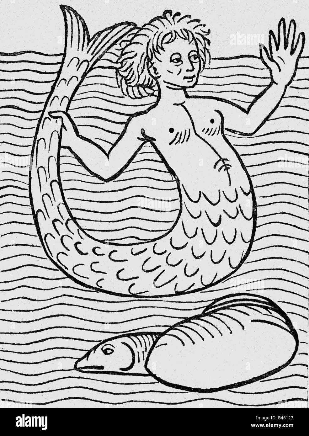 Superstizione, creature mitiche, sirena, legno, 'Hortus sanitatis', stampato da Jakob Meydenbach, Magonza, 1491, , Foto Stock