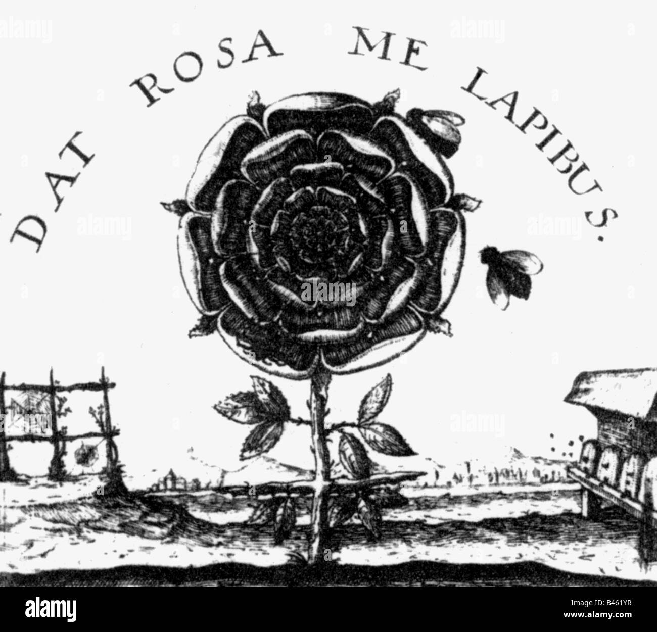 Alchimia, simboli, rosa, titolo di 'Summom bonum, quod est verum magiae, cabalae, alchimia subjectum' di Robert Fludd, incisione in rame, 1629, , Foto Stock