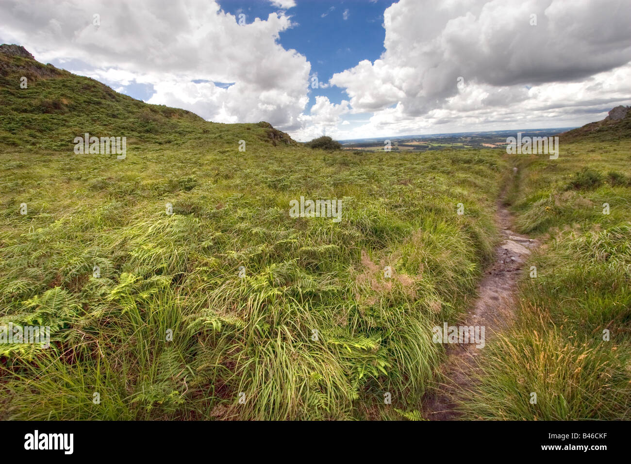 High Dynamic picture di un selvaggio heath con un percorso mistico Francia Bretagna Foto Stock
