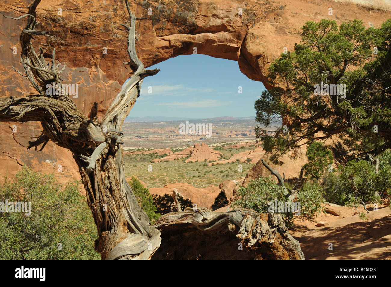 La vista attraverso il setto Arch, Arches National Park. Foto Stock