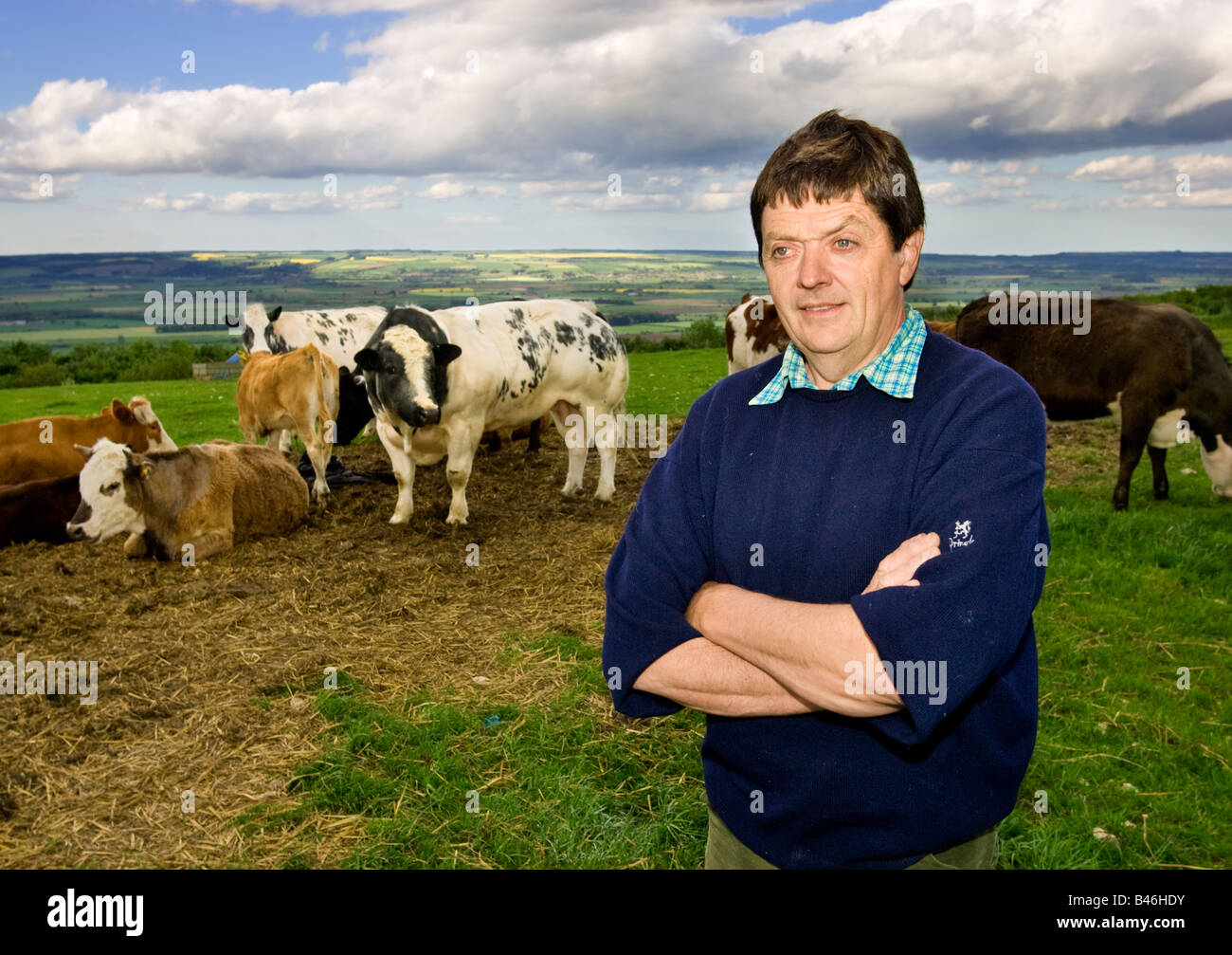 Inglese agricoltore in piedi in campo con la sua mandria di mucche, REGNO UNITO Foto Stock