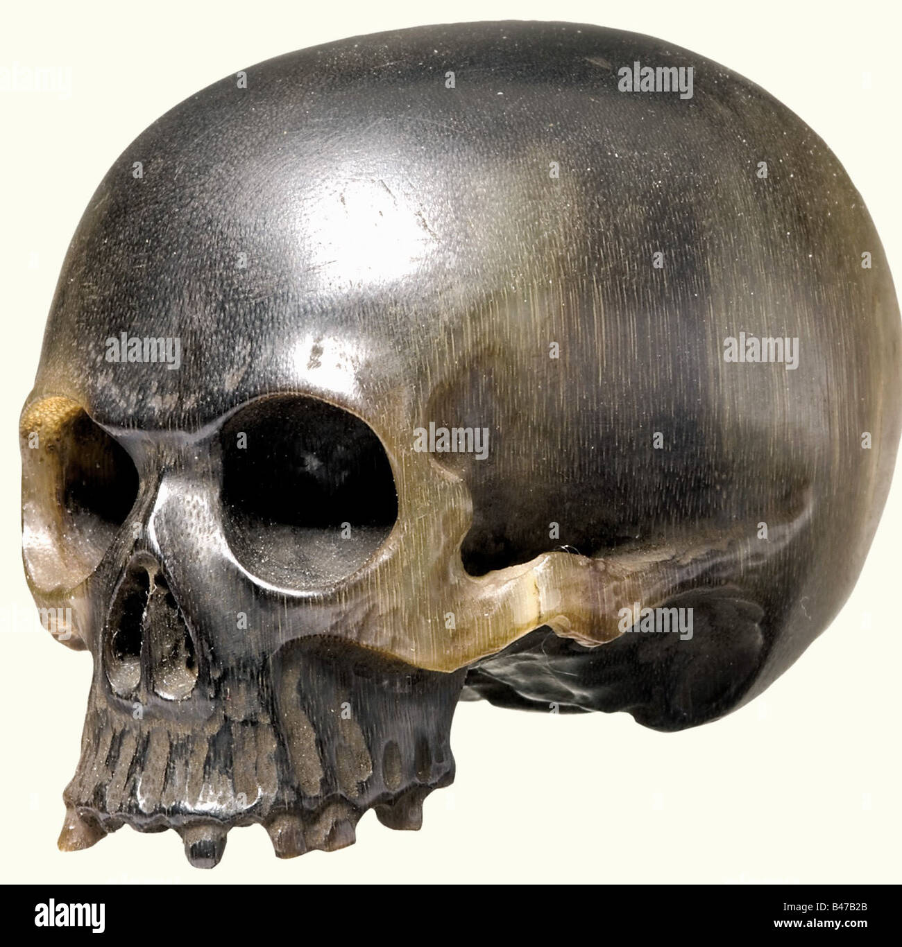 Un cranio corno rinoceronte, tedesco 17th/18th secolo UN cranio ricordo-mori, finemente scolpito di corno rinoceronte giallo-nero. La struttura ossea è illustrata in dettaglio, con pochi denti rimasti nella mandibola superiore. Altezza 3,5 cm. Lunghezza 5.3 cm. Storico, storico, 18th secolo, 17th secolo, artigianato, artigianato, artigianato, oggetti, oggetti, alambicchi, clippings, tagli, tagli, tagli, macabre, orribile, teschi, osso, ossa, osso cranico, morboso, Foto Stock