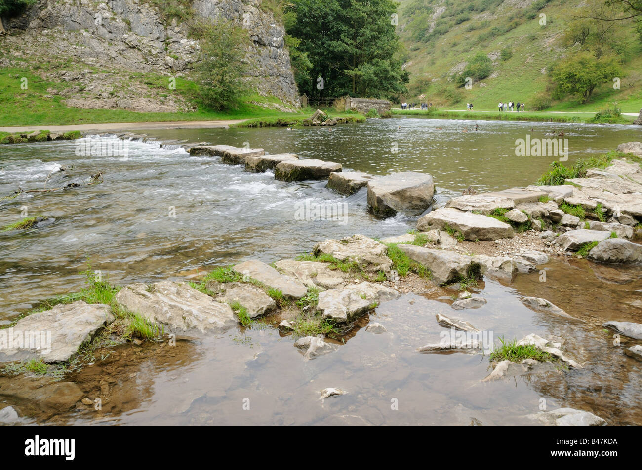 Le pietre miliari attraverso il Fiume Colomba Dovedale Il Peak District settembre BRITANNICO Foto Stock