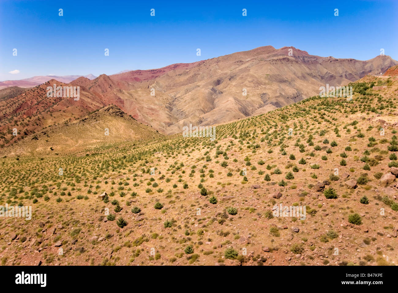 Dades valle selvaggia in Marocco Foto Stock