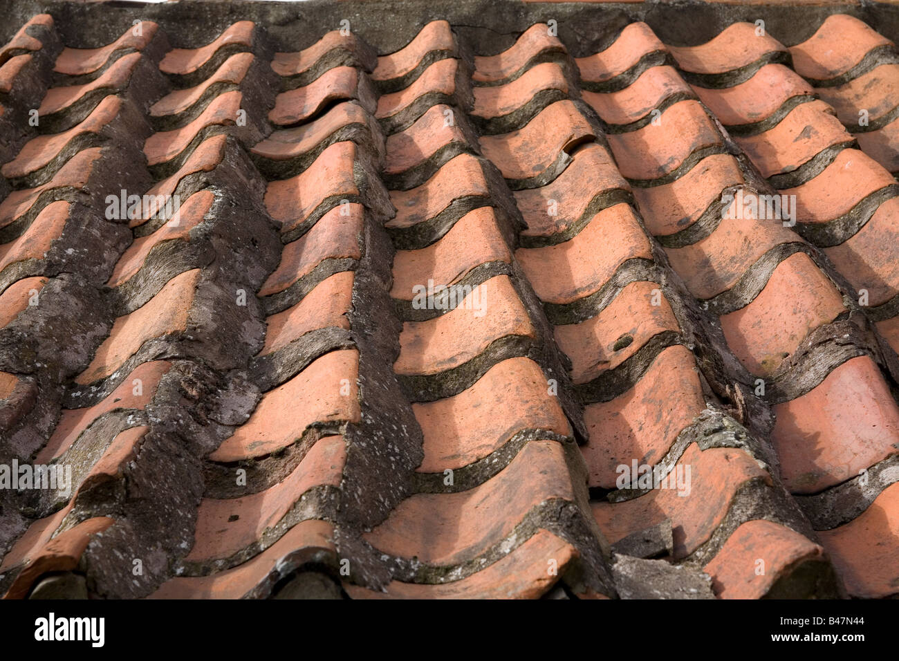Tegole del tetto di una vecchia casa in North Berwick. Foto Stock