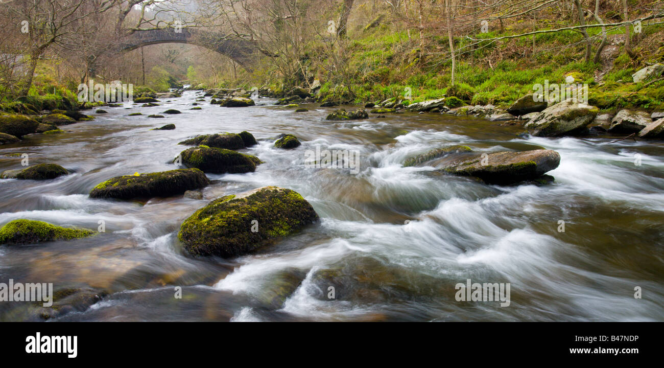A est del fiume Lyn e ponte a Watersmeet Parco Nazionale di Exmoor Devon England Foto Stock