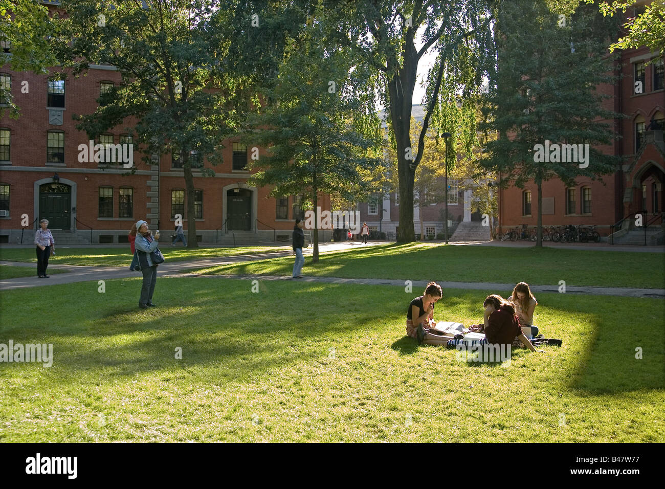 Gli studenti seduti sul prato di università di Harvard Yard, Massachusetts Foto Stock