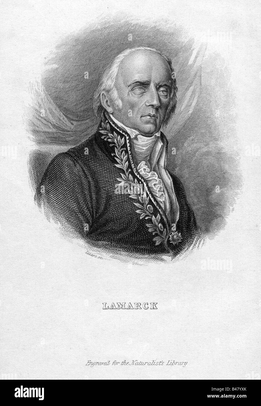 Lamarck, Jean Baptiste de, 1.8.1744 - 18.12.1829, francese scienziato naturale, ritratto, incisione di Lizars, secolo XIX, Jean-Baptiste de Monet Chevalier de Lamarck, biologo, Francia , artista del diritto d'autore non deve essere cancellata Foto Stock