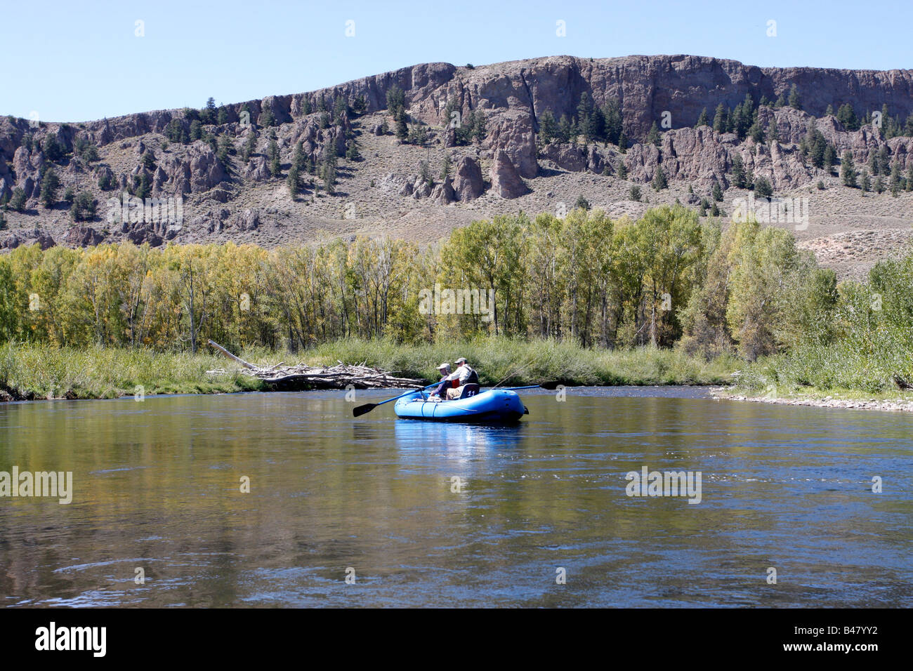 Deriva la pesca sul fiume Gunnison Colorado,USA Foto Stock