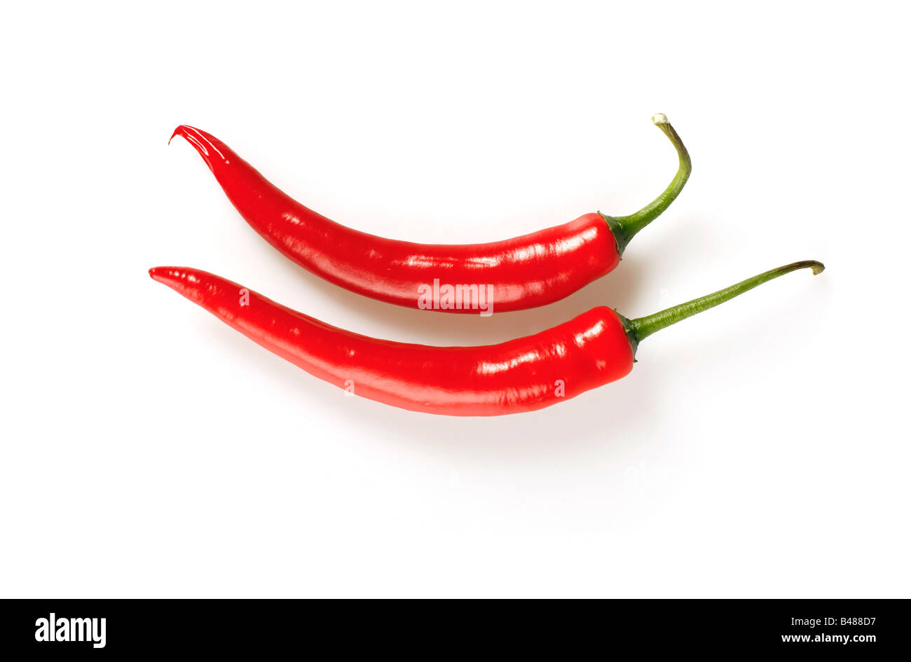 Isolato colpo di red hot chili peppers su sfondo bianco Foto Stock