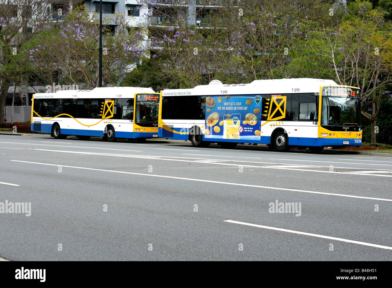 Due città di Brisbane autobus Foto Stock