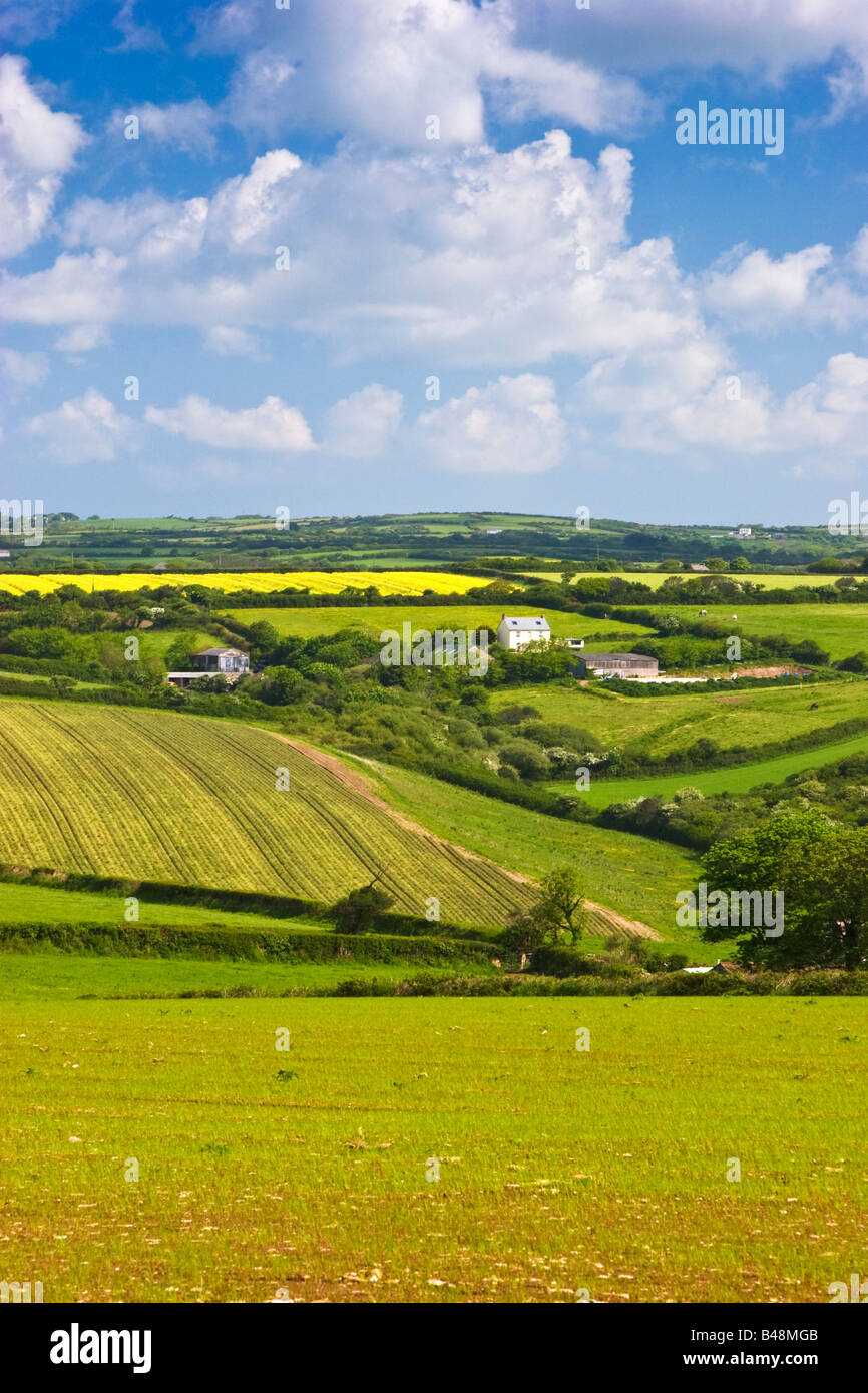 Cornish campagna nei pressi di Gweek, Cornwall Regno Unito Gran Bretagna Inghilterra Regno Unito 2008 Foto Stock