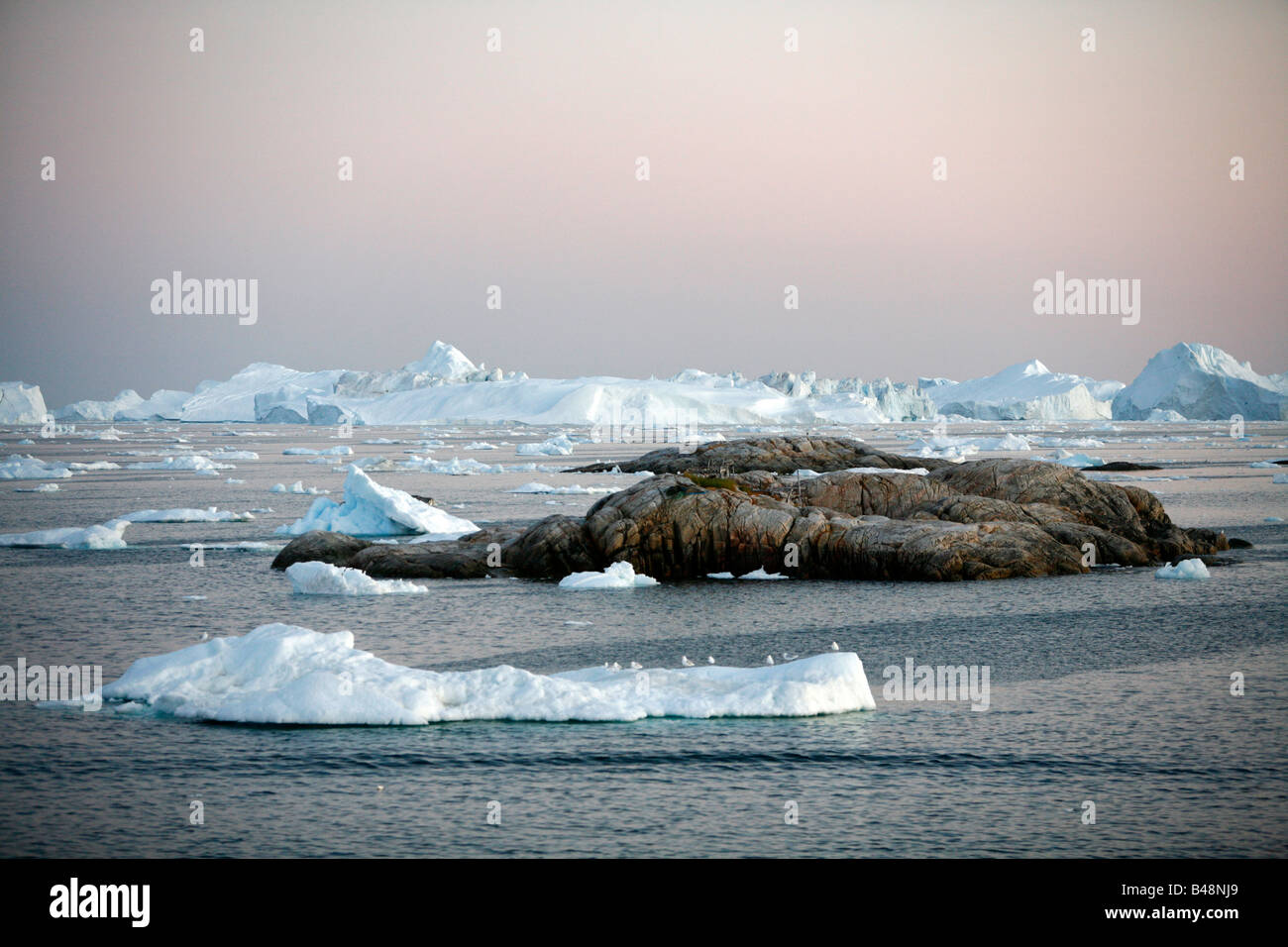 Agosto 2008 - iceberg galleggianti da Ilulissat Kangerlua Glacier noto anche come Sermeq Kujalleq alla baia di Disko Groenlandia Foto Stock