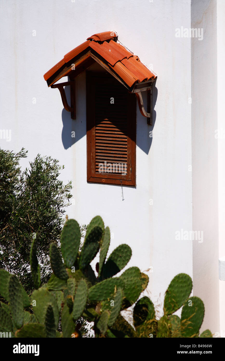 Cactus tree davanti alla piccola finestra di una casa bianca con tenda da sole (veneziana - Staffa) a bodrum, Turchia Foto Stock