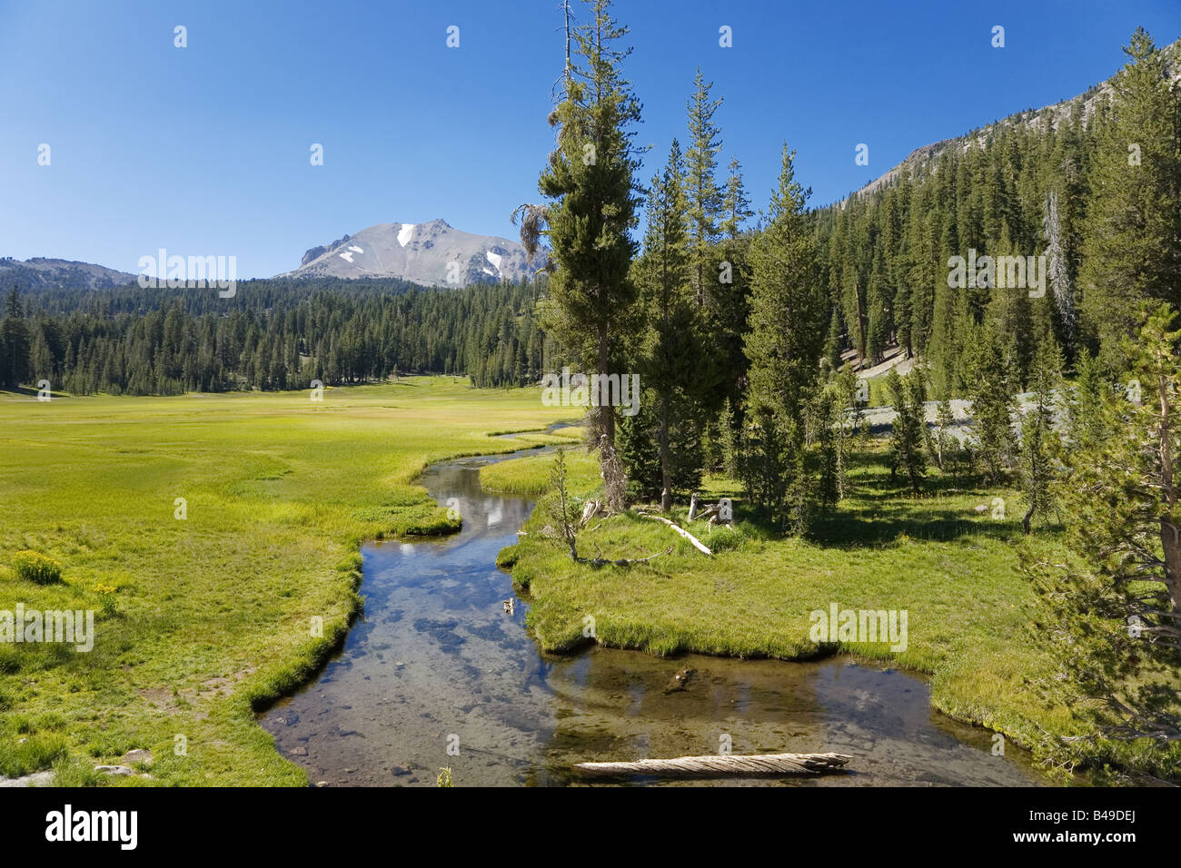 Prato con una piccola corrente e Mt. Vulcano Lassen in background Foto Stock