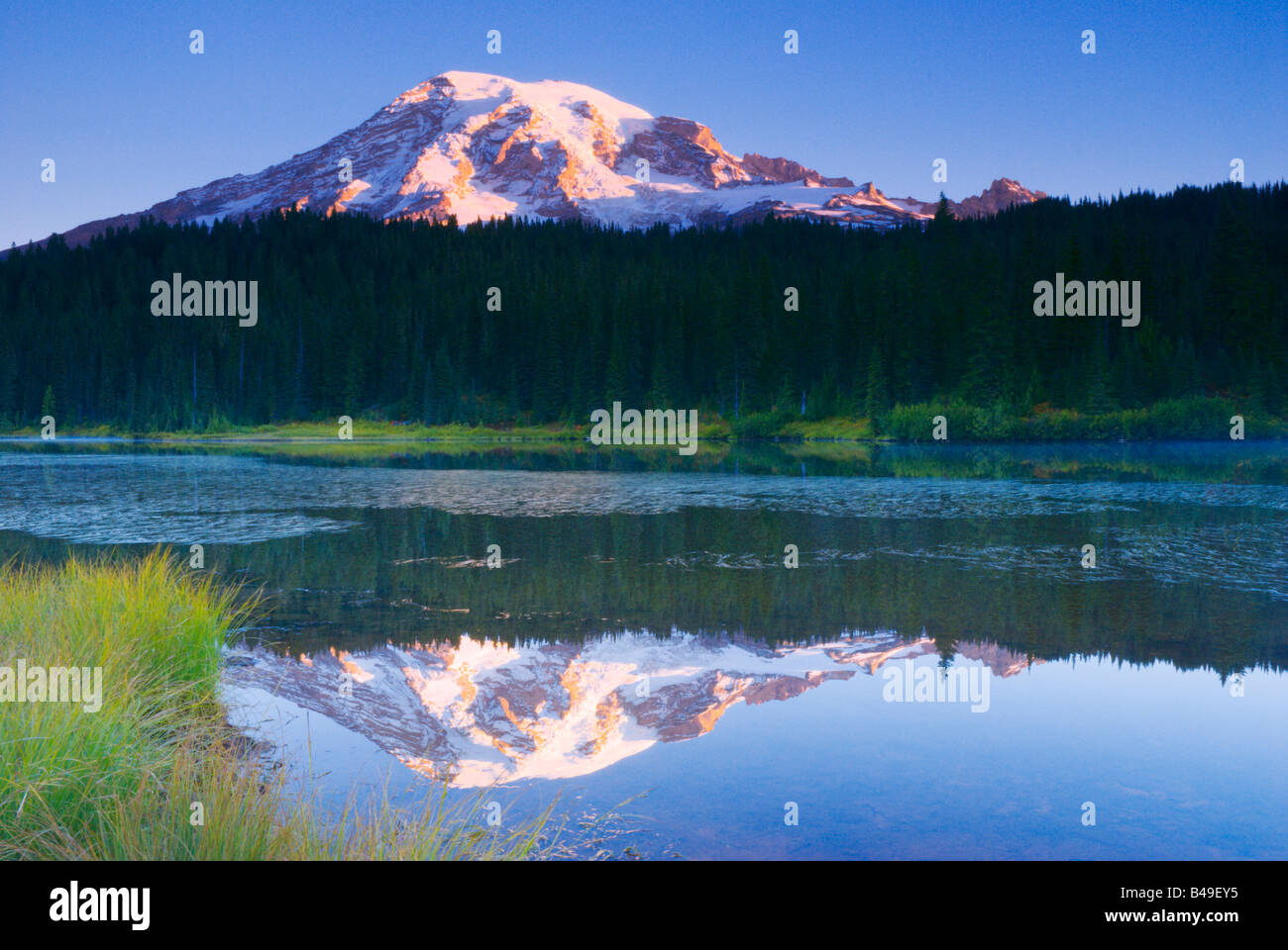 Alba la luce sul Monte Rainier dal lago di riflessione il Parco Nazionale del Monte Rainier Washington Foto Stock