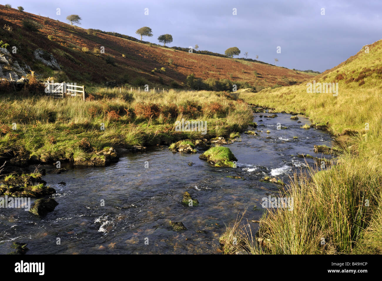 Il fiume Barle fluisce attraverso un Exmoor Valley vicino a Cornham e Simonsbath Foto Stock