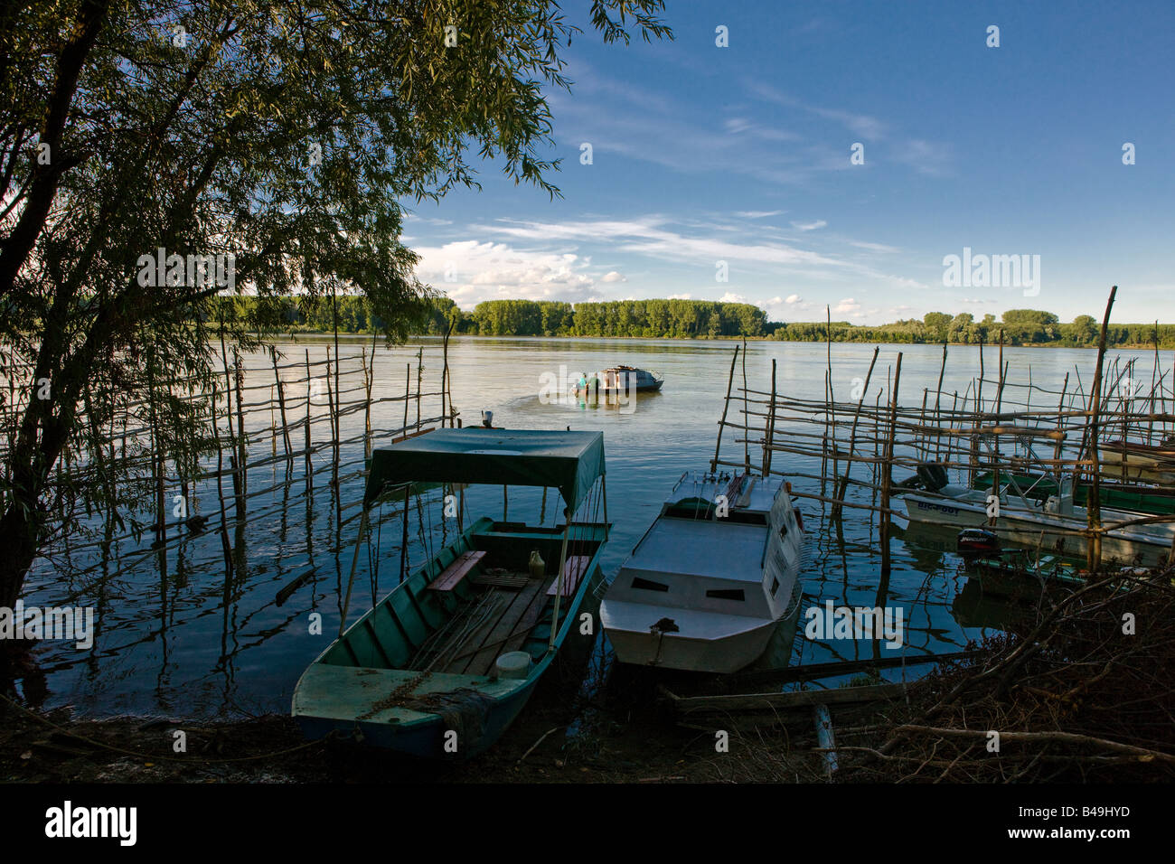 Due uomini in barca nel fiume Danubio vicino Cortonovci nella Vojvodina regione del nord della Serbia Foto Stock