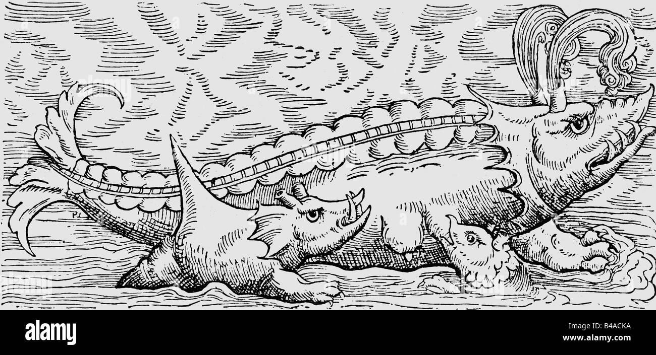 Superstizione, creature mitiche, 'che pregano il wale con hump-wale o porco', woodcut, 'Historia animalium' di Conrad Gesner, volume 4th, 'Piscium et aquatilium animantium natura', 1558, , Foto Stock